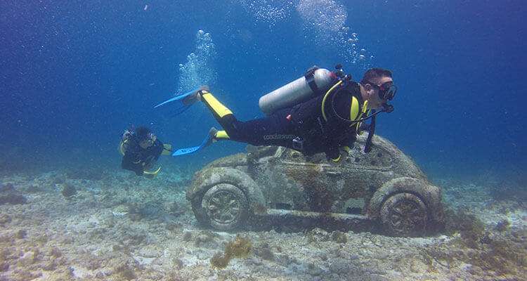 musa diving for beginners