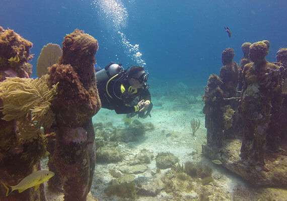 musa scuba diving