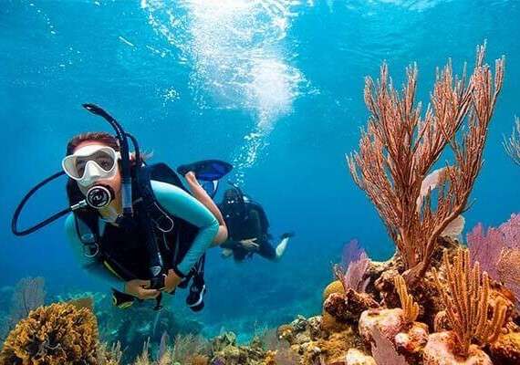 musa scuba diving