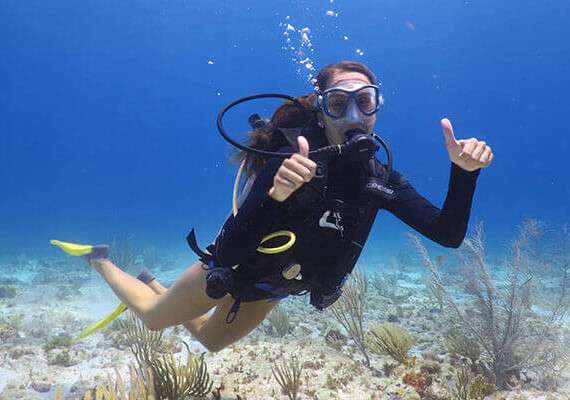 musa scuba diving