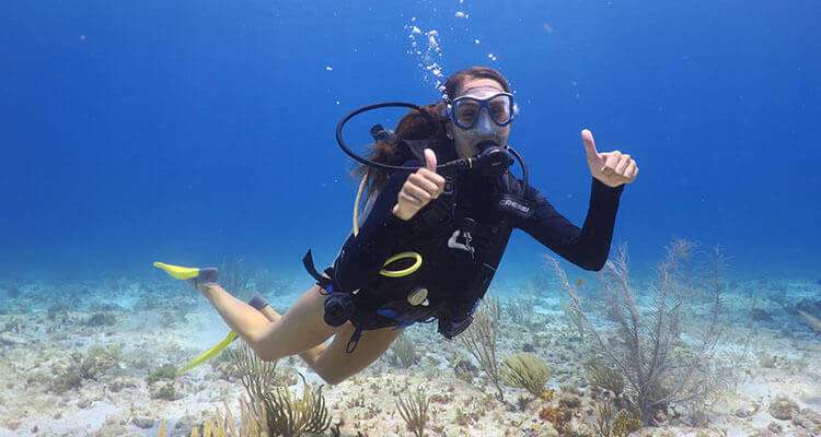 musa scuba diving